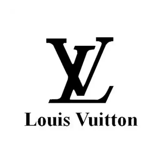 Louis Vuitton Shoes